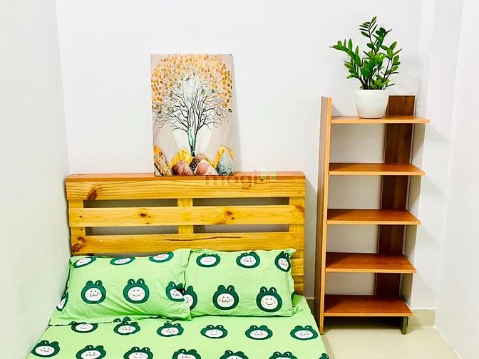 Hình ảnh 🪲 2PN DECOR xinh xắn ngay quận 1 giá rẻ 🐣