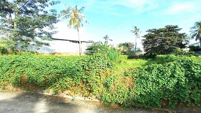 Hình ảnh Bán Đất MT 29x48m, 2.8 Tỷ, TÂN NGHĨA, HÀM TÂN, BÌNH THUẬN