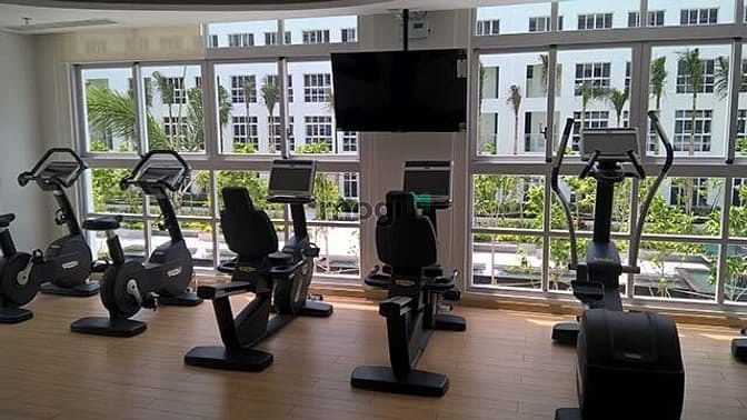 Hình ảnh Cho thuê cănhộ cao cấp Happy Valley Phú Mỹ Hưng mới 100%