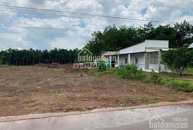 Hình ảnh đất giá rẻ tp đồng xoài bình phước