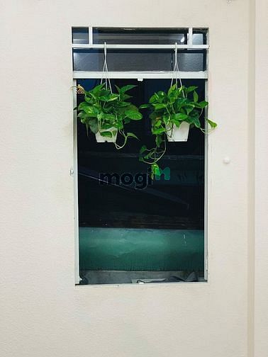 Hình ảnh 🐢 Cửa sổ thoáng - Decor xinh - rộng 2 người ở 🐢