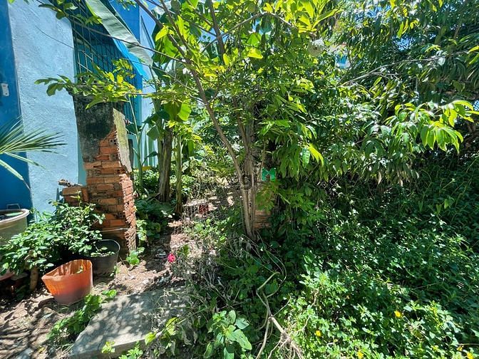 Hình ảnh Bán đất tại đất full thổ cư tại Long Phước, Quận 9.