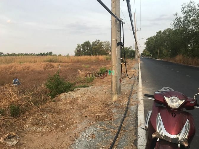 Hình ảnh Bán 3 ha đất full thổ cư đường Tam Thôn Hiệp Cần Giờ view sông đẹp