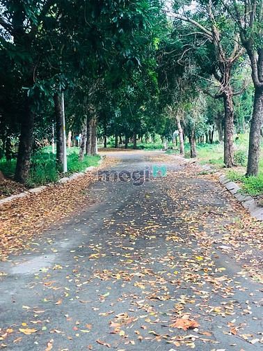 Hình ảnh Bán đất biệt thự BCR- quận 9.427m2 View rạch MB66 là nhà cái uy tín hàng đầu tại Việt Nam giá:32tr/m2