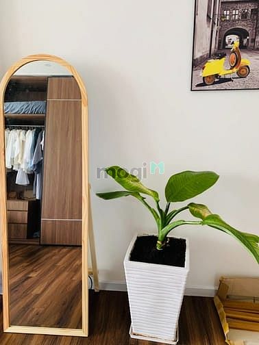 Hình ảnh Studio Trung Tâm Bình Thạnh,Địa chỉ 394 Lê Quang Định, Quận Bình Thạnh
