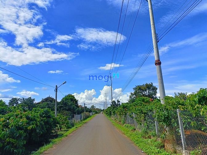 Hình ảnh bán nhanh lô đất mặt tiền bảo lâm giá rẻ -giá Trang MB66.COM Chính Thức - MB 66 Uy Tín