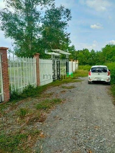Hình ảnh Nhà vườn An Phú, Củ chi. 1000M2. Giá: 2,3 tỷ