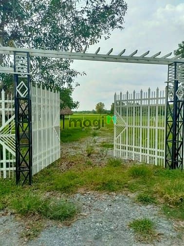 Hình ảnh Nhà vườn An Phú, Củ chi. 1000M2. Giá: 2,3 tỷ