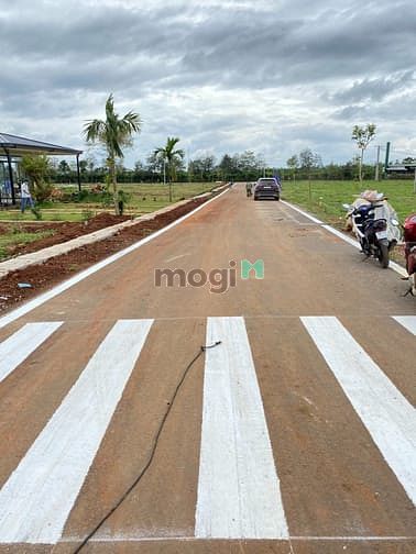 Hình ảnh Bán lô đất 10x30 xây biệt thự vườn TP Bảo Lộc đường 24m