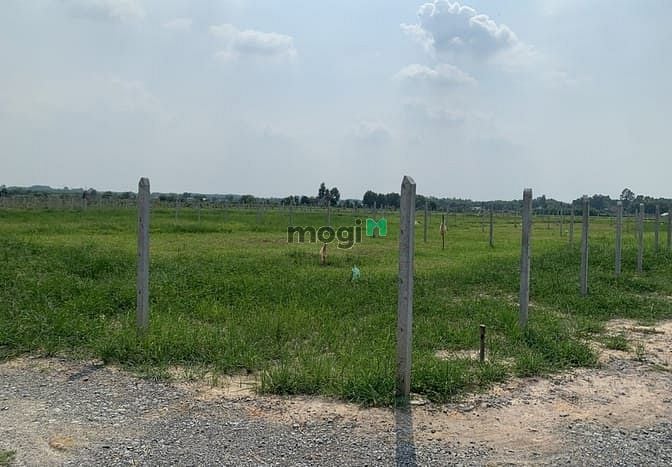 Hình ảnh Đất sổ hồng 525m2 đường Ba Sa, Phước Hiệp, SHR, Giá chỉ 850 triệu