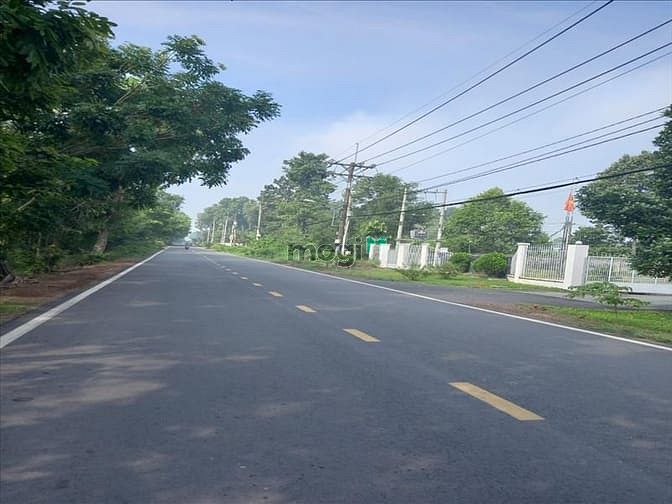 Hình ảnh Đất sổ hồng 525m2 đường Ba Sa, Phước Hiệp, SHR, Giá chỉ 850 triệu