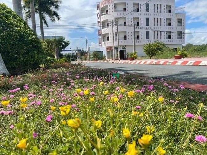 Hình ảnh Đất QL50 SHR 100m2,bán gấp 1ty050 qua năm đi Mỹ định cư