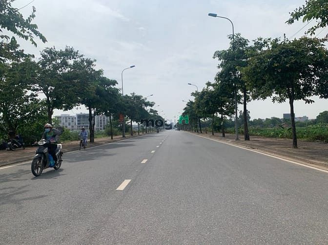 Hình ảnh Bán 55m đất đấu giá Thạch Bàn mặt đường Nguyễn Thời Trung, 2mặt thoáng