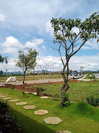 Hình ảnh Đất Nền Sổ Đỏ Panamera MT Nguyễn Văn Cừ Tp Bảo Lộc, 880TR/150m2, TT Tr