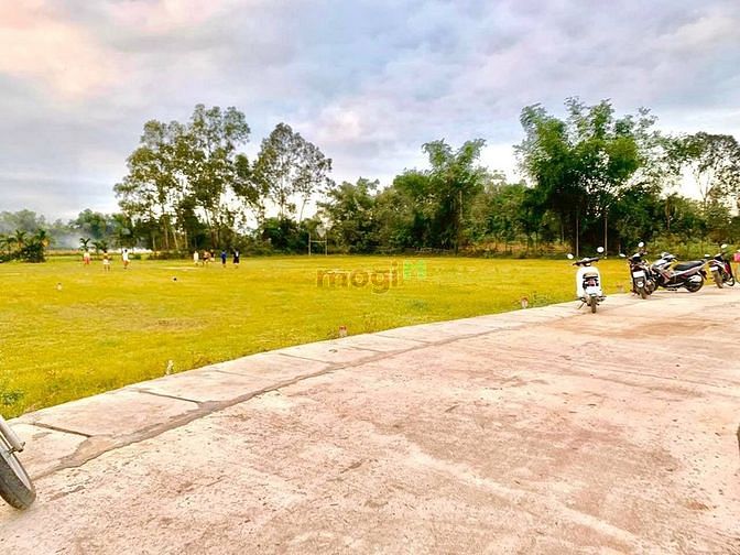 Hình ảnh ECO RETREAT – 1 Đà Lạt thu nhỏ ven Đà Nẵng, 490tr/ lô