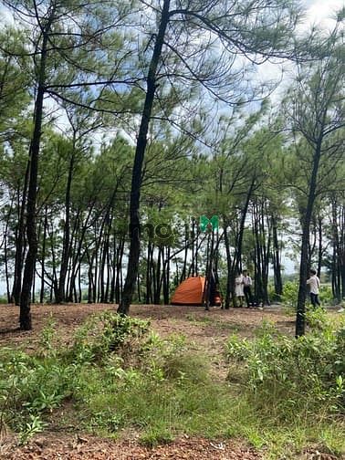 Hình ảnh ECO RETREAT – 1 Đà Lạt thu nhỏ ven Đà Nẵng, 490tr/ lô