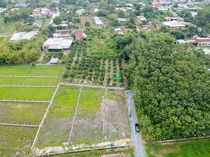 Hình ảnh đất vườn củ chi giá rẻ 500-1000m2