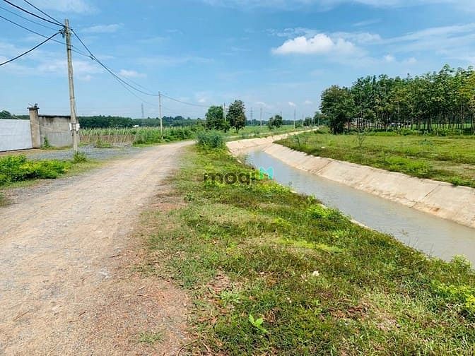 Hình ảnh đất vườn củ chi giá rẻ 500-1000m2