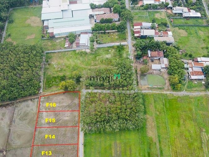 Hình ảnh đất vườn củ chi giá rẻ 500-1000m2