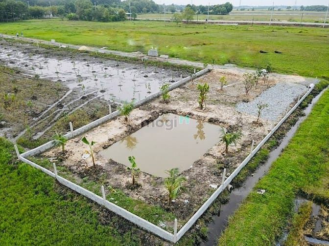 Hình ảnh đất vườn củ chi giá rẻ 500-1000m2