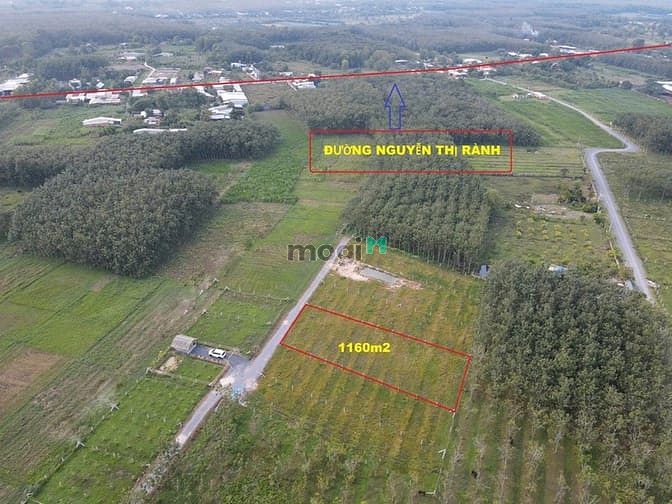 Hình ảnh đất vườn củ chi giá rẻ 500-1000m2