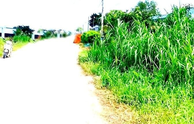 Hình ảnh HIẾM – BÁN ĐẤT ĐƯỜNG 12M, 2 tỷ 1, Tân Nghĩa, Hàm Tân, Bình Thuận