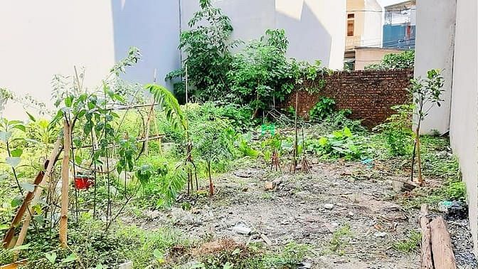 Hình ảnh Chính chủ cần bán gấp lô đất Cổ Nhuế 2, Bắc Từ Liêm giá 3 tỷ