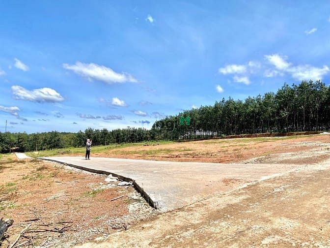 Hình ảnh Bán gấp 3 lô đất Phú Riềng,Bình Phước