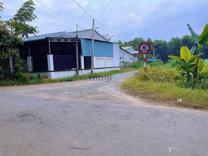 Hình ảnh Đất Xóm Đồng Thanh Phước Gò Dầu Tây Ninh