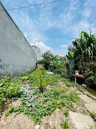 Hình ảnh Đất Đẹp,HXH Thông,Tp.Thủ Đức,90m2 ngag 6,4m,Ra Ngã Tư Thủ Đức Chỉ 5ph
