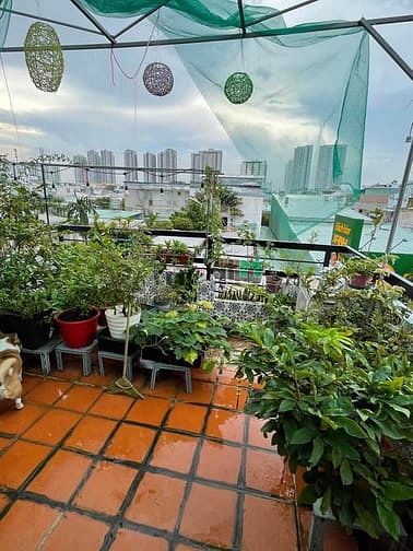Hình ảnh Biệt thự 86m2, ngang 12m, 5.9 tỷ