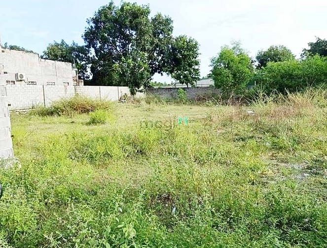 Hình ảnh BÁN ĐẤT MT KCN, 22x56m, 1 TỶ 5, Tân Hà, Hàm Tân , Bình Thuận