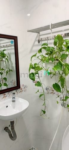 Hình ảnh CĂN HỘ Q3, Studio Cửa Sổ, HF - Hình thật - Giá thật