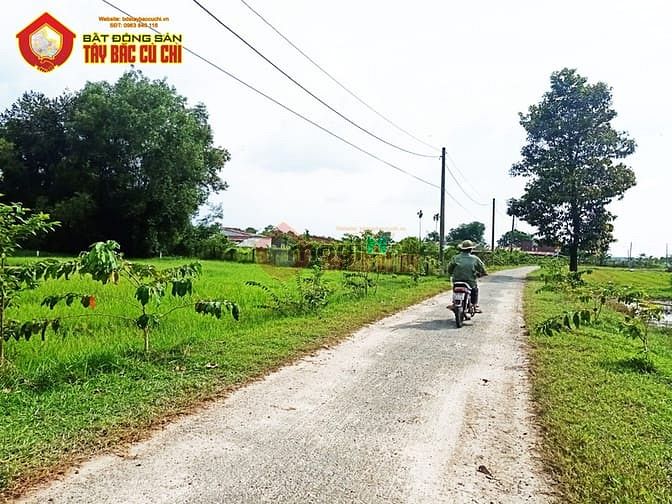 Hình ảnh Bán đất đường Nguyễn Thị Ngoạn - 1329m2 - 46x35 - 300m2 thổ cư