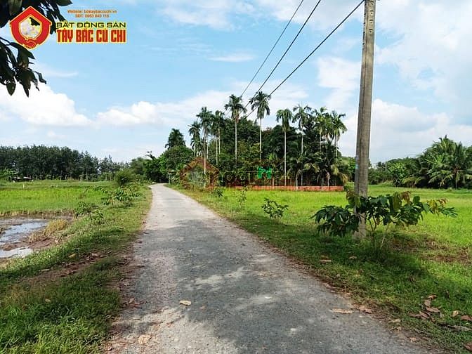 Hình ảnh Bán đất đường Nguyễn Thị Ngoạn - 1329m2 - 46x35 - 300m2 thổ cư