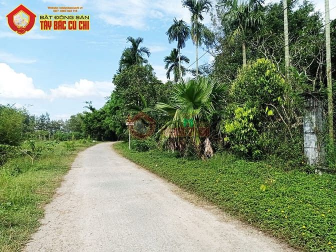 Hình ảnh Bán đất đường Nguyễn Thị Ngoạn - 1329m2 - 46x35 - 300m2 thổ cư