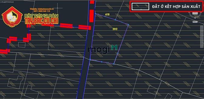 Hình ảnh Bán đất đường Nguyễn Thị Ngoạn - 1329m2 - 46x35 - 300m2 thổ cư