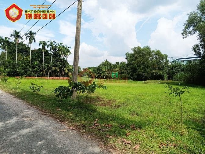Hình ảnh Bán đất đường Nguyễn Thị Ngoạn - 1329m2 - 46x35 - 300m2 thổ cư