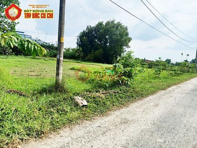 Hình ảnh Bán đất đường Nguyễn Thị Ngoạn - 1329m2 - 46x35 - 300m2 thổ cư