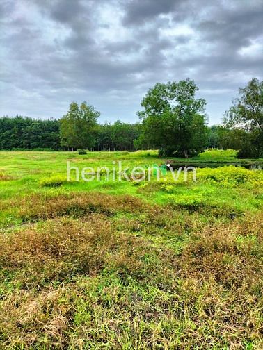 Hình ảnh Quá rẻ - đất mặt tiền đường lớn gần tỉnh lộ 7 - khu dân cư có 600m2