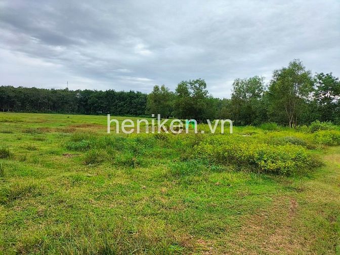 Hình ảnh Quá rẻ - đất mặt tiền đường lớn gần tỉnh lộ 7 - khu dân cư có 600m2