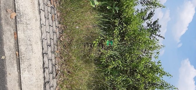 Hình ảnh Bán đất dự án Nam Rạch Chiếc. Bán 3 lô 5x16m. Vị trí đẹp💥