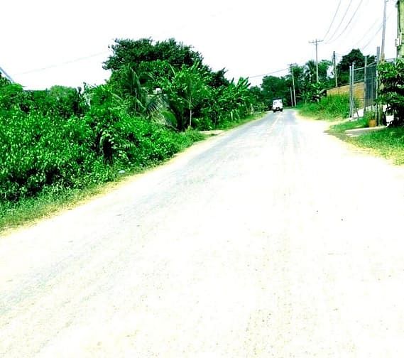 Hình ảnh 1.6 TỶ - BÁN ĐẤT MT KCN, 23x56M, Tân Nghĩa, Hàm Tân, Bình Thuận