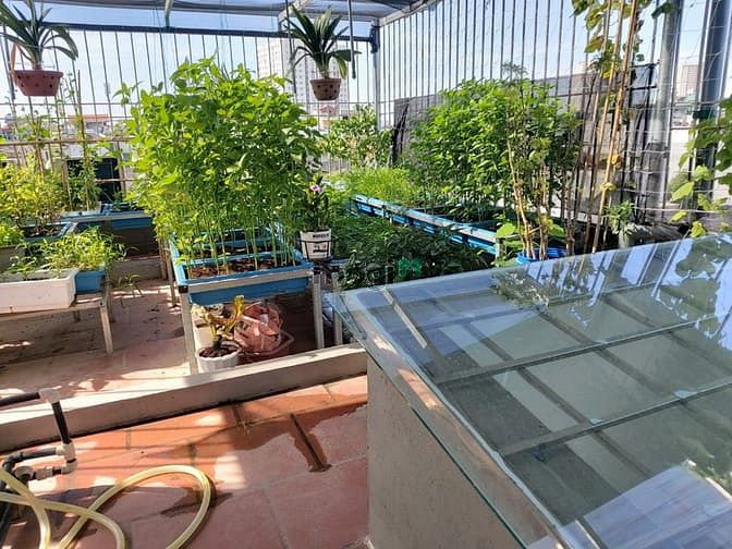 Hình ảnh Nhà Thạch Bàn 65m 5 tầng giá hơn 7 tỷ