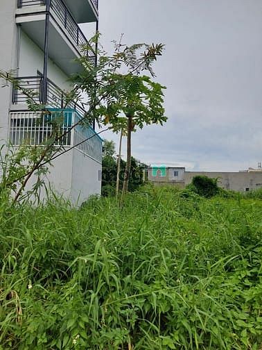 Hình ảnh Bán đất Vườn Lài, gần Cầu Sắt qua Gò Vấp 60m giá 3.9tỷ