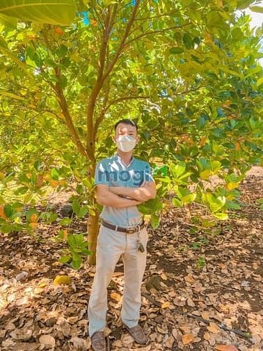 Hình ảnh ĐẤT SÁT QUỐC LỘ 20 và cao tốc dầu dây liên khương
