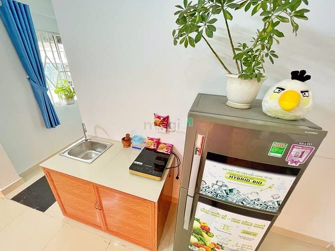 Hình ảnh Mb6623 nạp rút nhanh chóng Studio - cửa sổ lớn giá siêu ưu đãi mùa dịch chỉ từ 4tr8