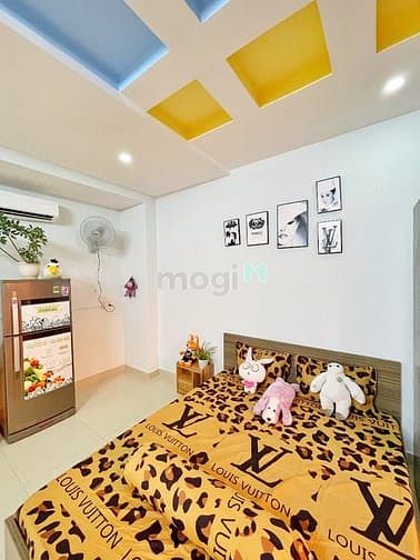 Hình ảnh Mb6623 nạp rút nhanh chóng Studio - cửa sổ lớn giá siêu ưu đãi mùa dịch chỉ từ 4tr8