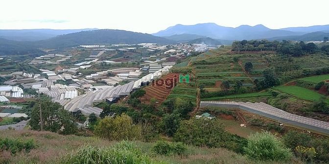 Hình ảnh Bán Đất biệt thự Xuân Thọ, Đà Lạt 3 tỷ 4 – 256m