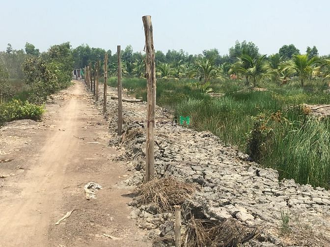 Hình ảnh Bán công đất vườn 2 MT giá siêu rẻ